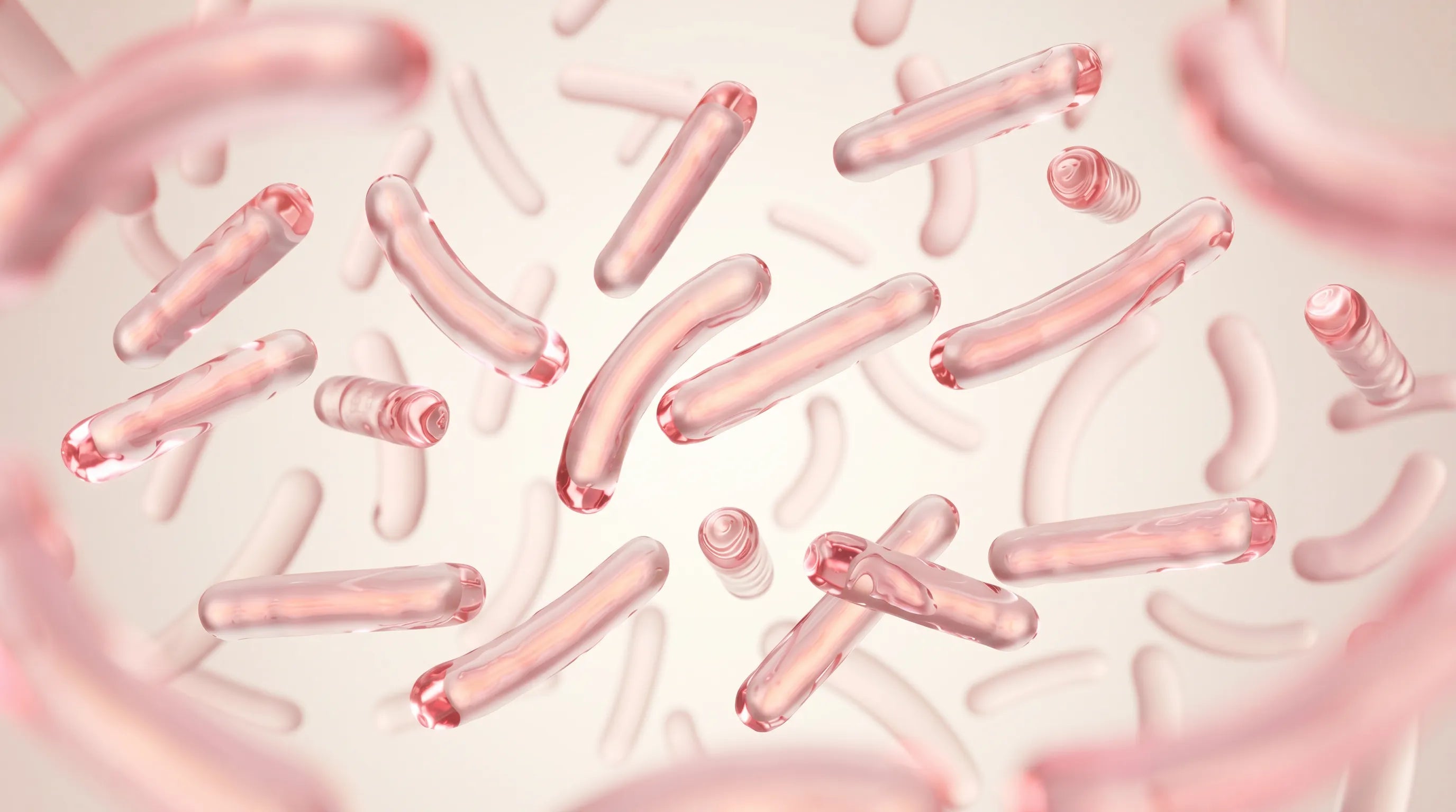 Visualización 3D de cepas probióticas Lactobacillus en cristal azul translúcido