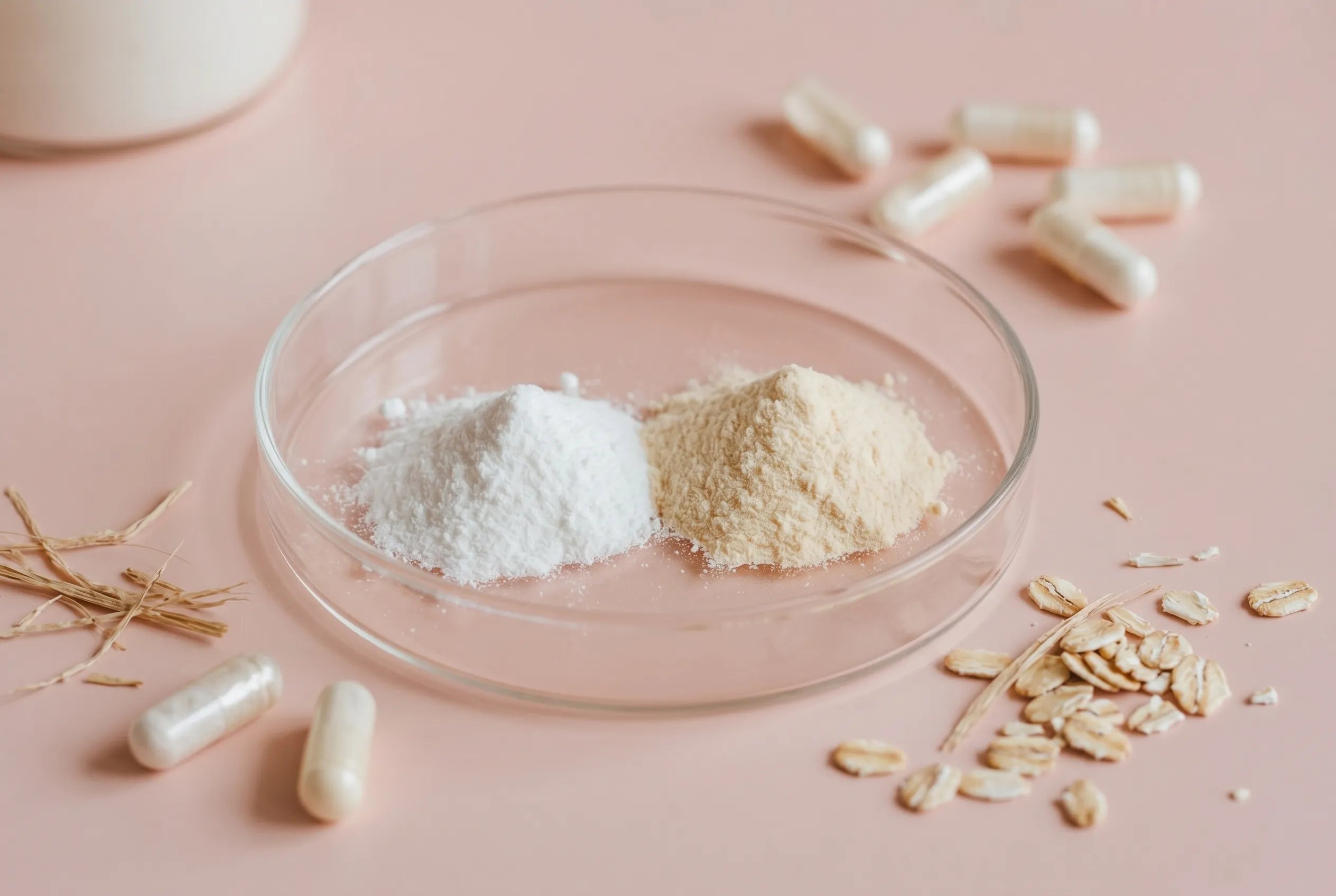 Polvo probiótico en plato Petri — Complejo BioFlora 4×1™