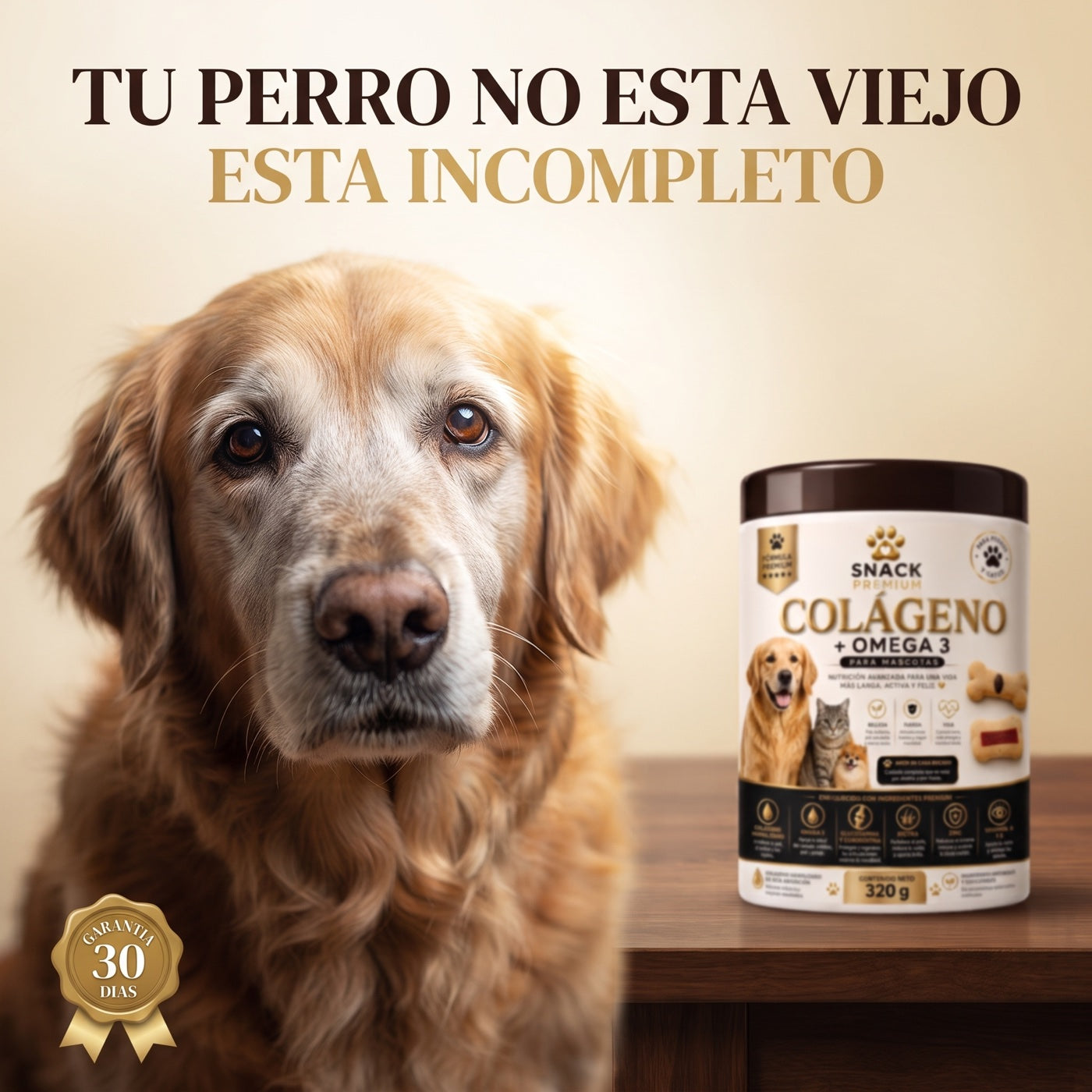Perro senior junto al frasco de colágeno + omega 3 de 320 g
