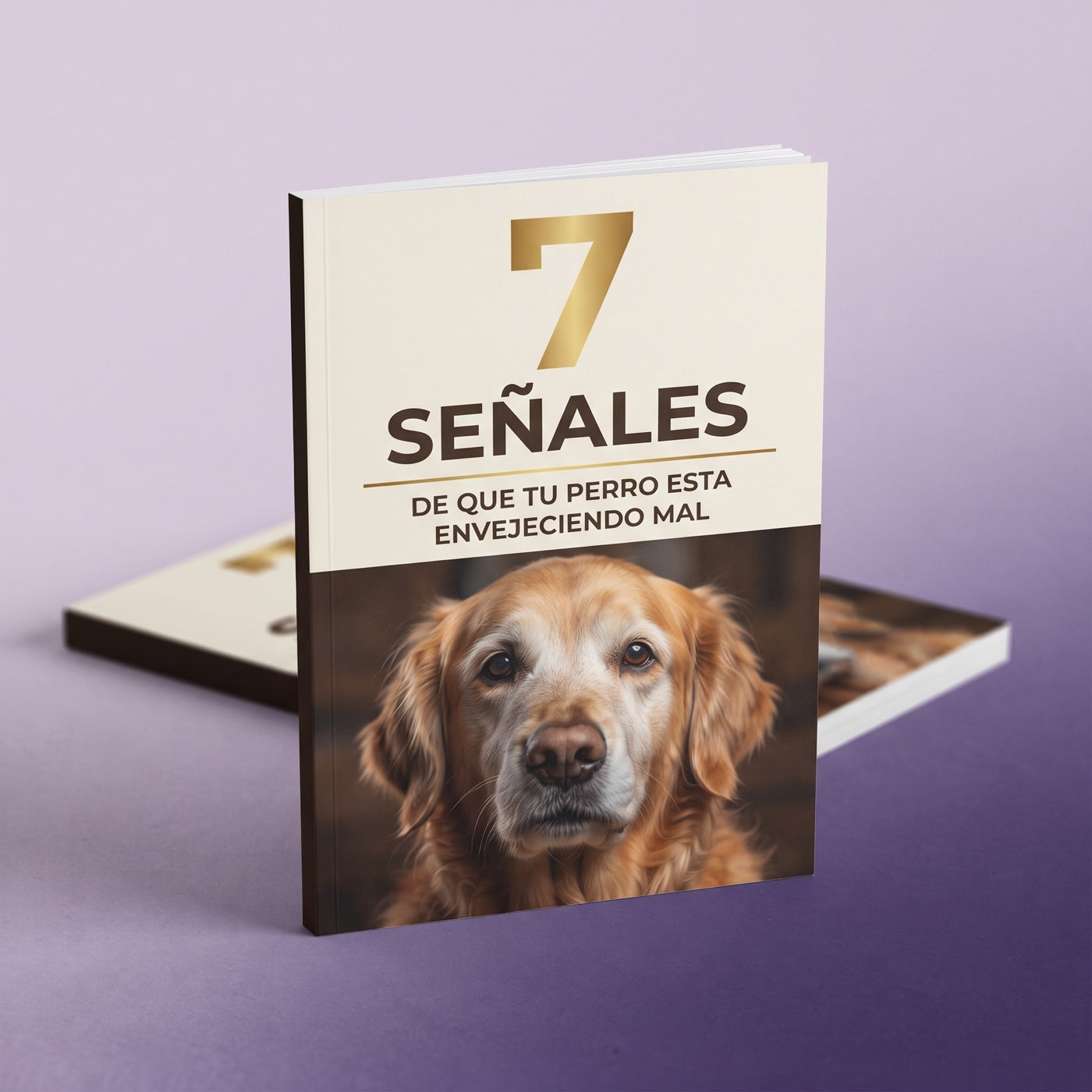 Guía 7 señales